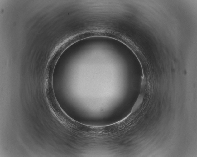 X0000087640728200705031509