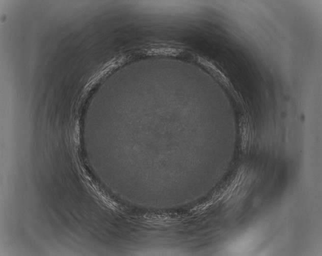 X0000087640729200705031510