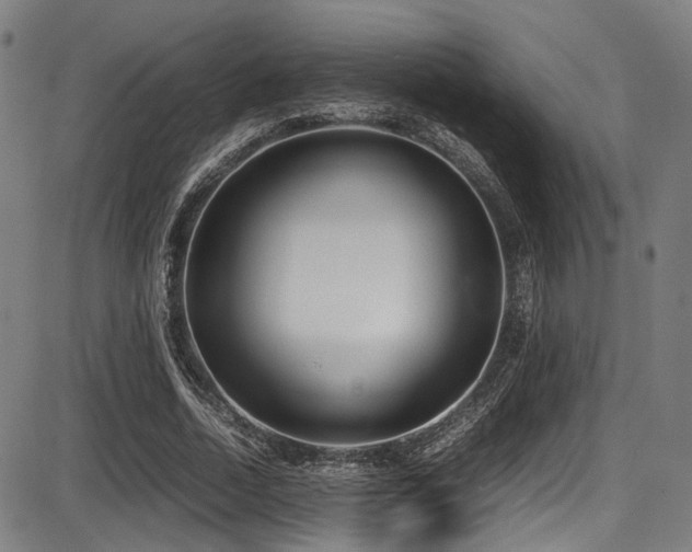 X0000087640730200705031510