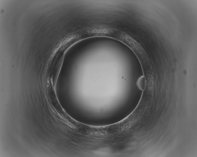 X0000087640731200705031510