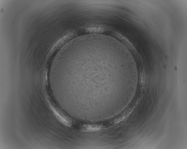 X0000087640733200705031510