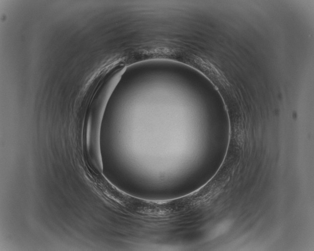 X0000087640735200705031510