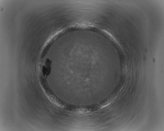 X0000087640736200705031510