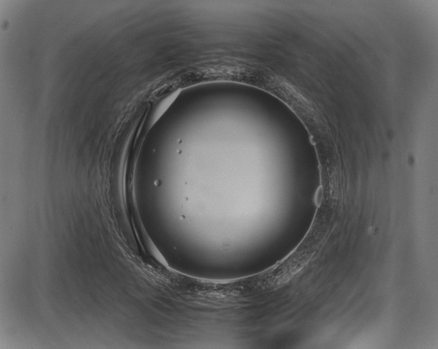 X0000087640737200705031510