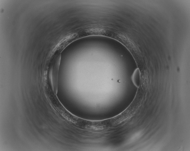 X0000087640739200705031510