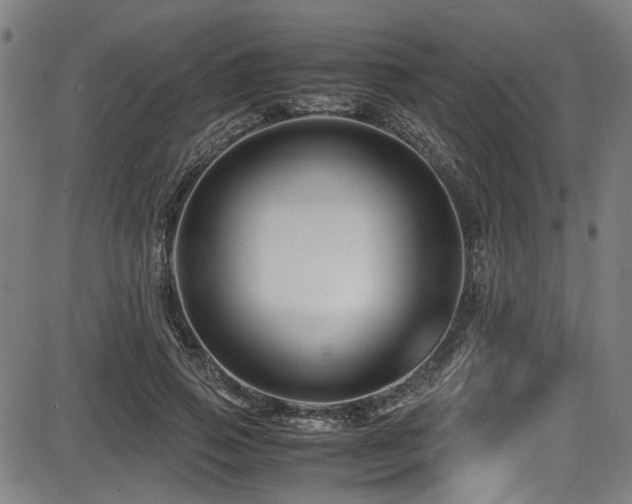 X0000087640741200705031510