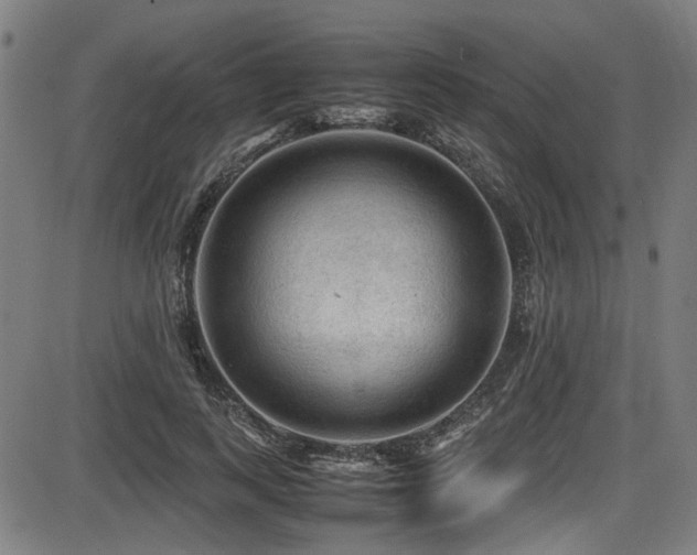 X0000087640743200705031510