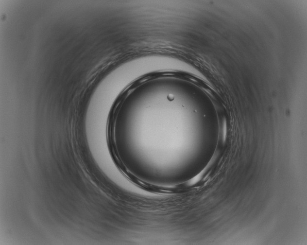 X0000087640744200705031510