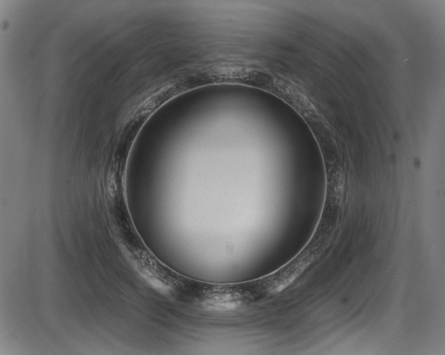 X0000087640746200705031510