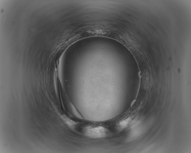 X0000087640747200705031510