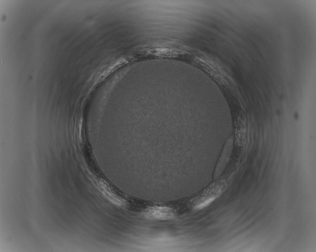 X0000087640748200705031510