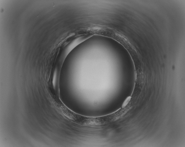 X0000087640750200705031510