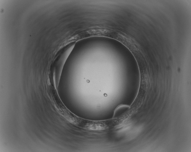 X0000087640751200705031510