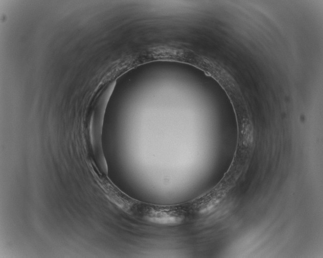 X0000087640753200705031510