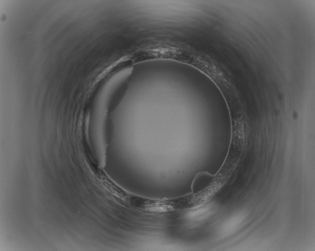 X0000087640754200705031510