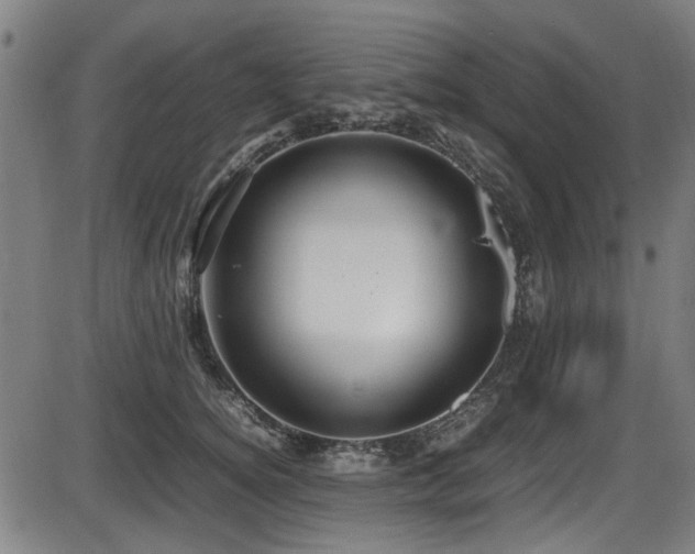 X0000087640756200705031510