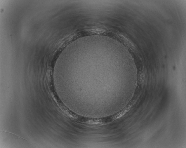 X0000087640757200705031510