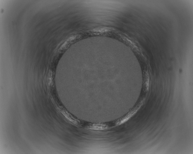 X0000087640758200705031510