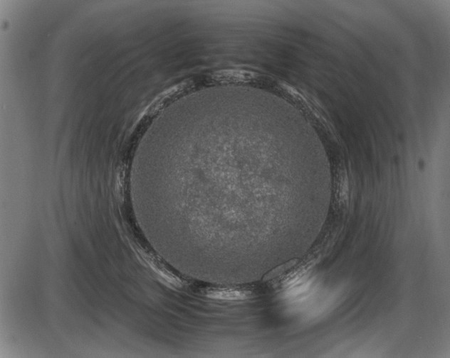 X0000087640759200705031510