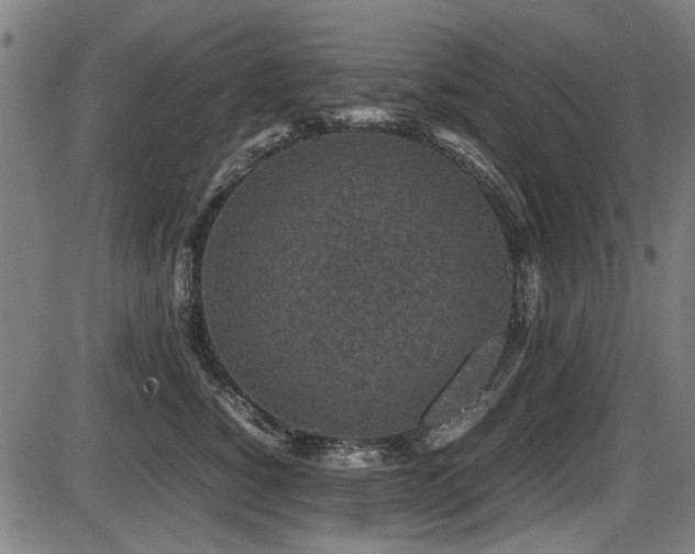 X0000087640760200705031510