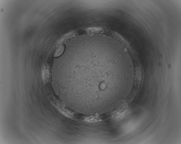 X0000087640761200705031510