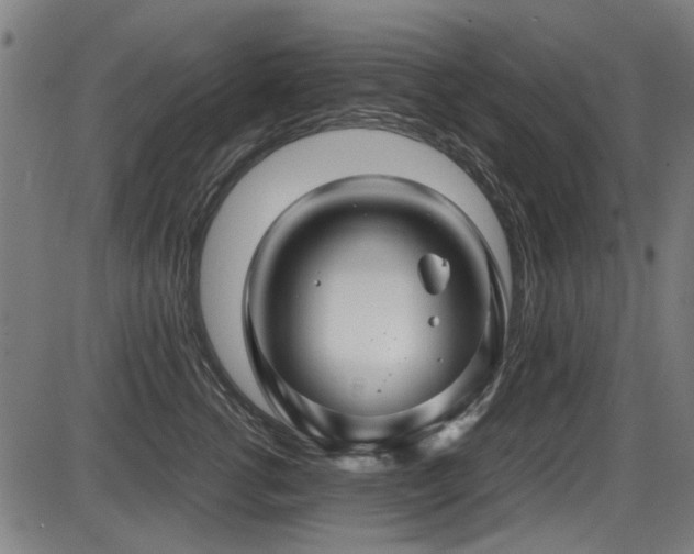 X0000087640762200705031510