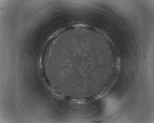 X0000087640763200705031510