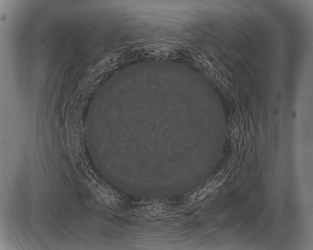 X0000087640769200705031509