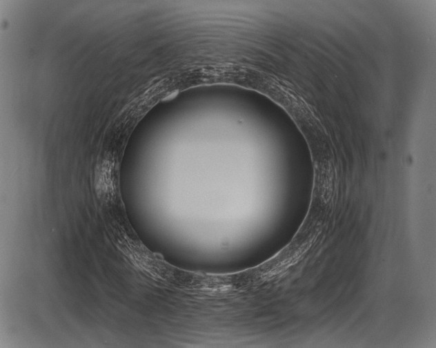 X0000087640770200705031509