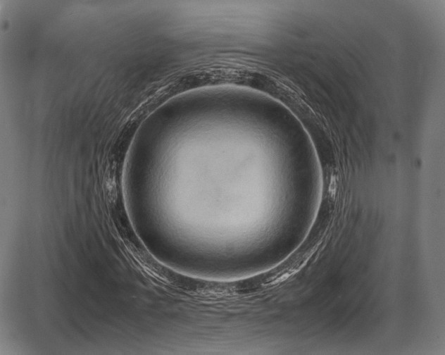 X0000087640771200705031509