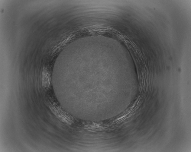 X0000087640772200705031509