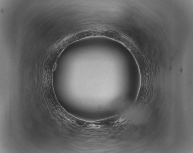 X0000087640773200705031509