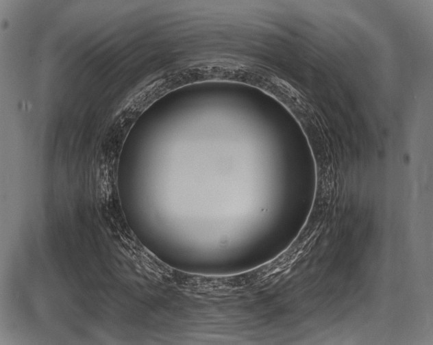 X0000087640774200705031509