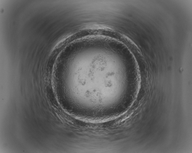 X0000087640775200705031509