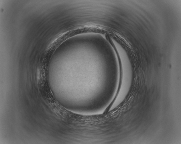 X0000087640776200705031509