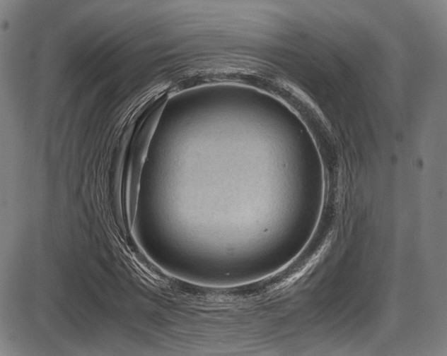 X0000087640777200705031509