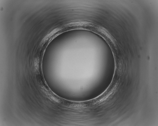 X0000087640778200705031509