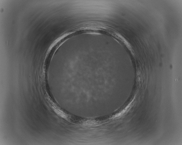 X0000087640779200705031509