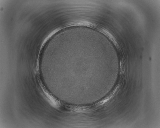 X0000087640780200705031509