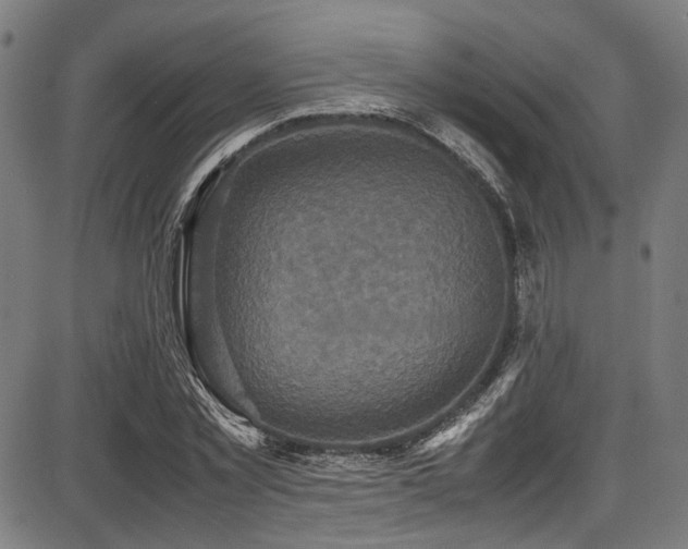 X0000087640781200705031509