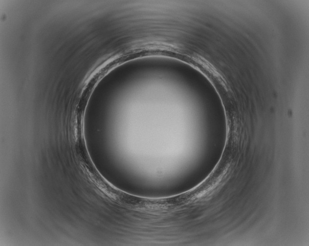 X0000087640782200705031509