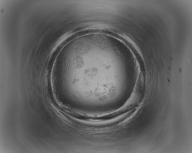 X0000087640783200705031509