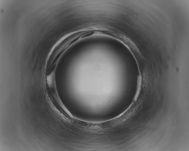 X0000087640784200705031509