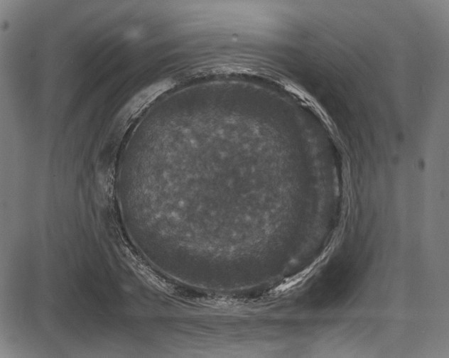 X0000087640785200705031509