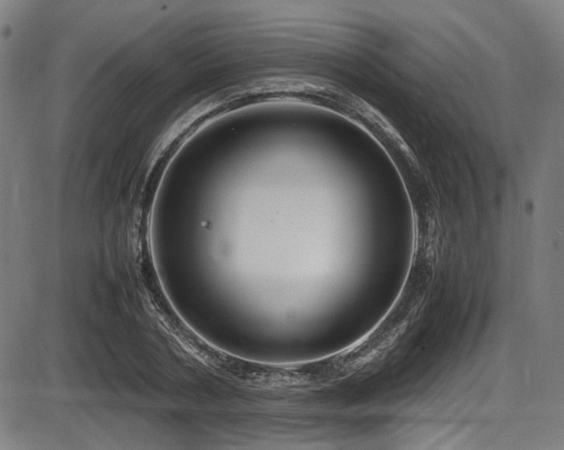 X0000087640786200705031509