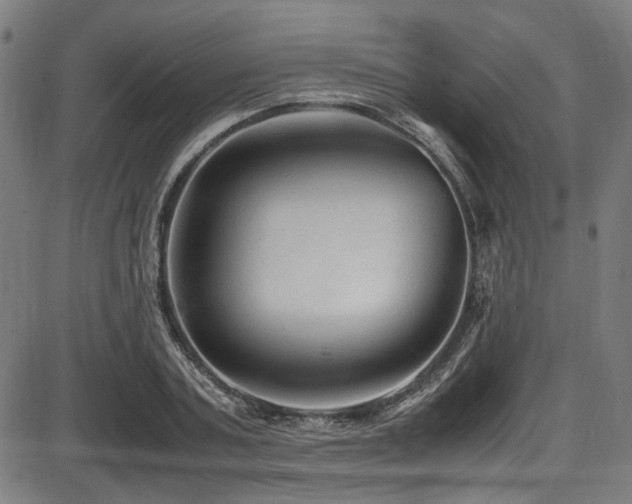 X0000087640787200705031509