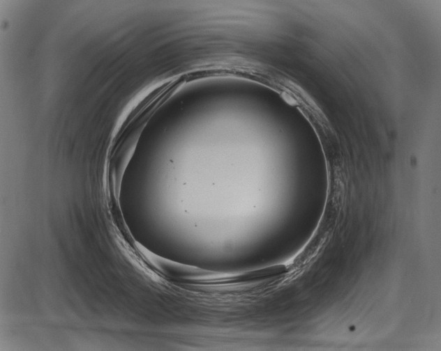 X0000087640788200705031509