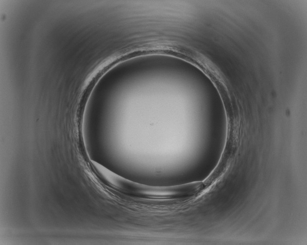 X0000087640789200705031509