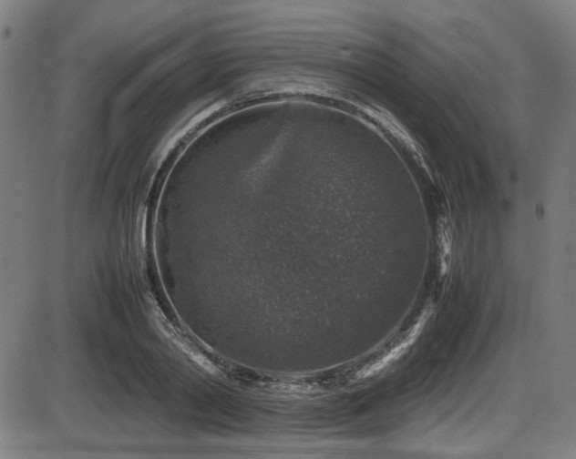 X0000087640790200705031509