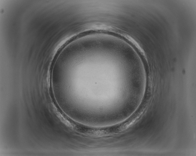 X0000087640791200705031509